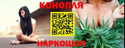 дмт Обь