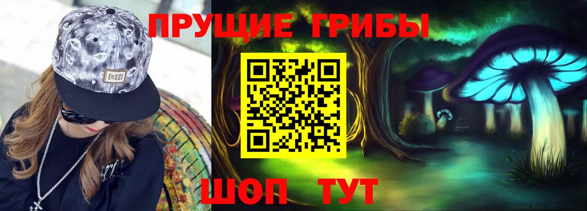 Псилоцибиновые грибы Cubensis Алексеевка