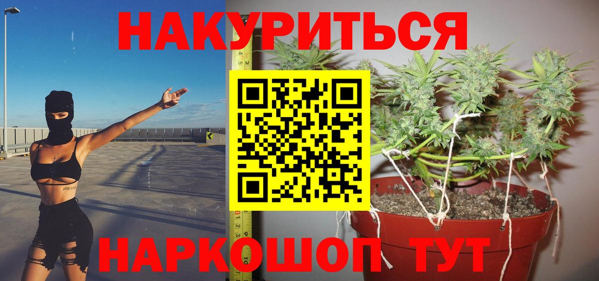Конопля Bruce Banner Алексеевка